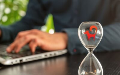 Mennyi időt tudsz szánni a vállalkozásodra? – teszt