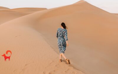 Online tanfolyam készítés – hogy ne járj körbe-körbe