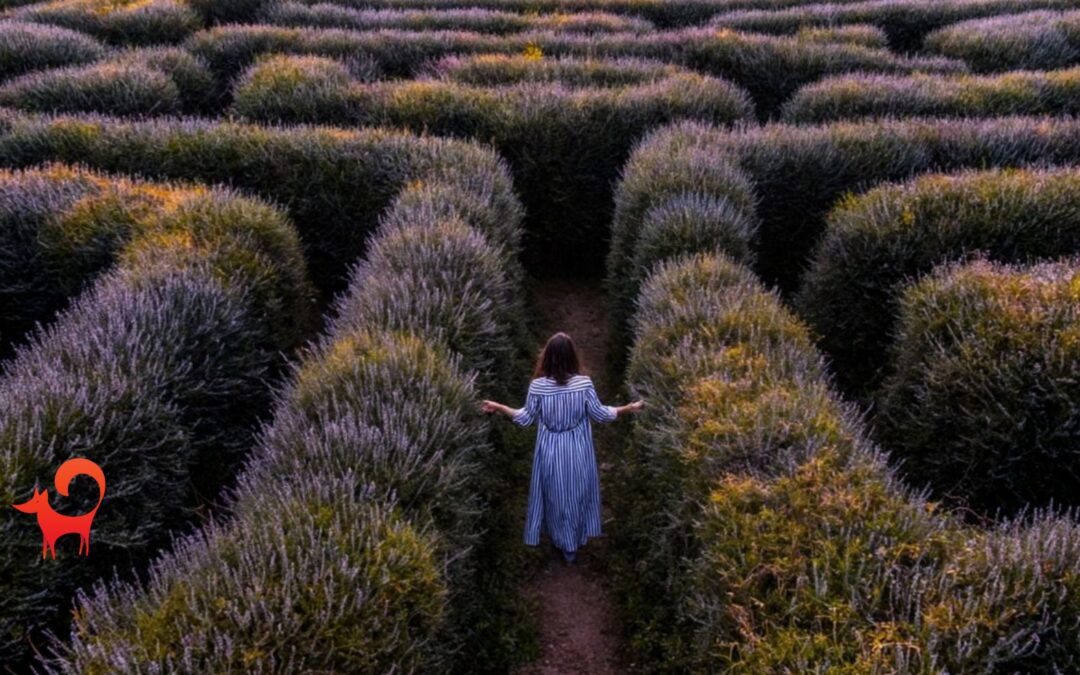 Az online tanfolyam készítése: tévutak és zsákutcák