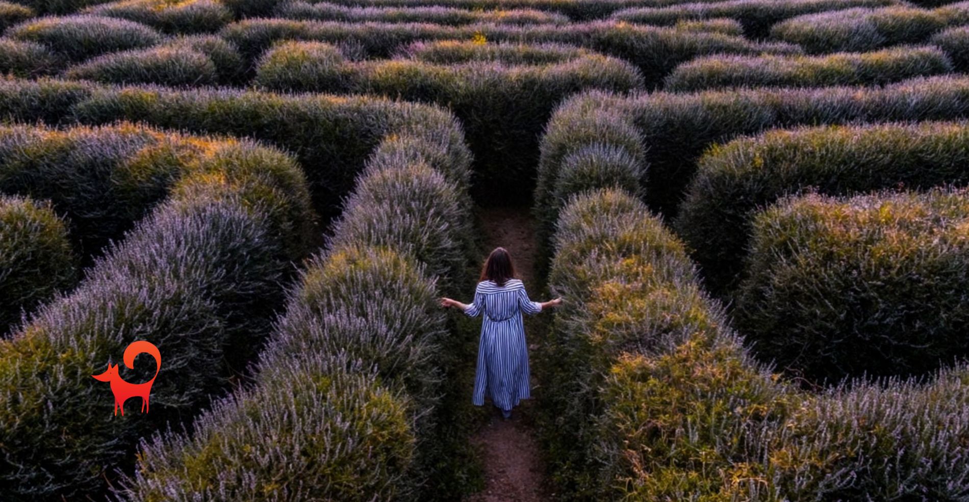 Az online tanfolyam készítése: tévutak és zsákutcák