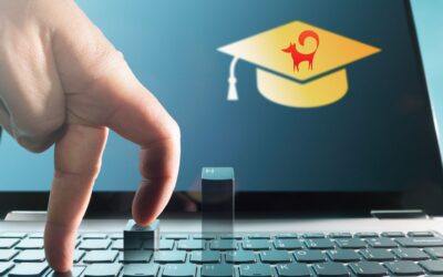 Egyetlen jól felépített tanfolyam évekig bevételt hozhat számodra